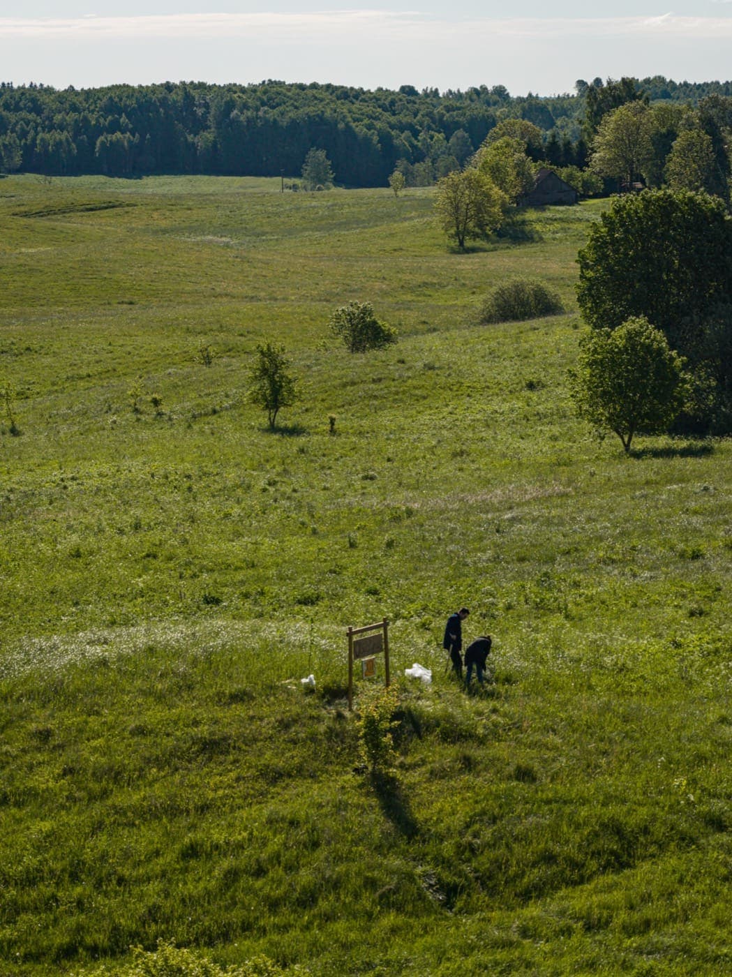 Molėtų kalvos