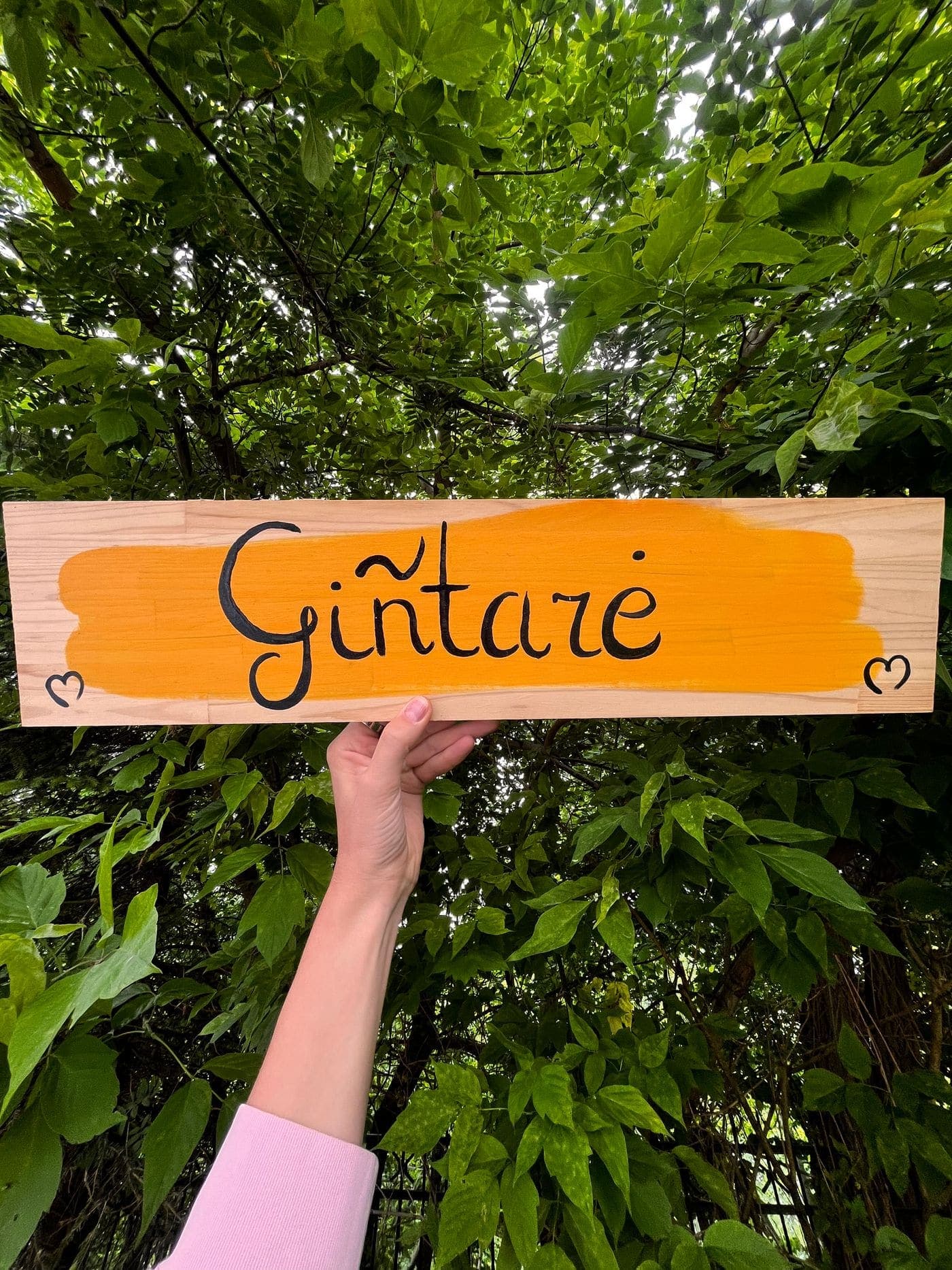 Medinė vardo lentelė su ranka užrašytu vardu „Gintarė“