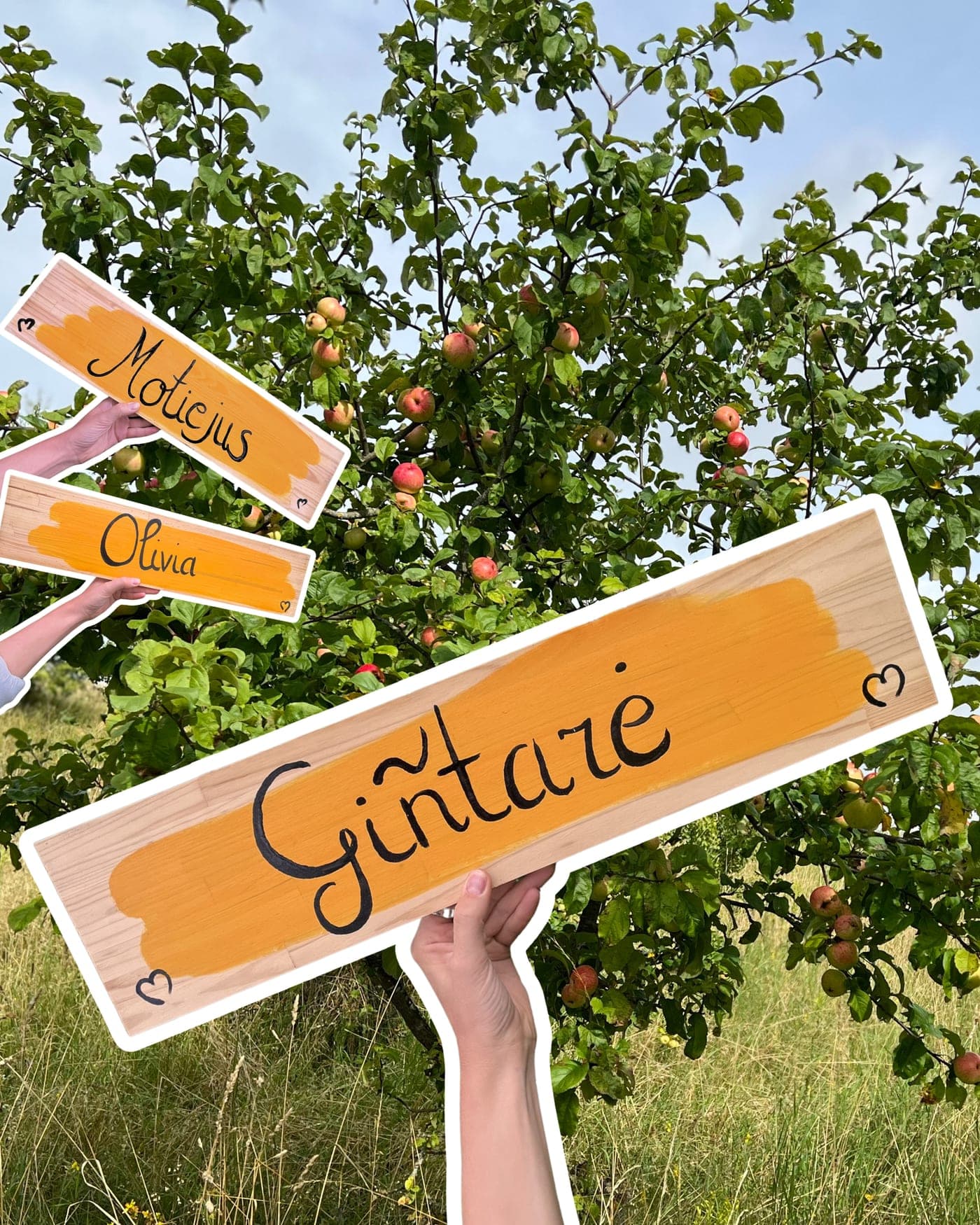 Medinės vardo lentelės su ranka pieštais ir impregnuotais vardais, paruoštos prie Obels Obuolyne